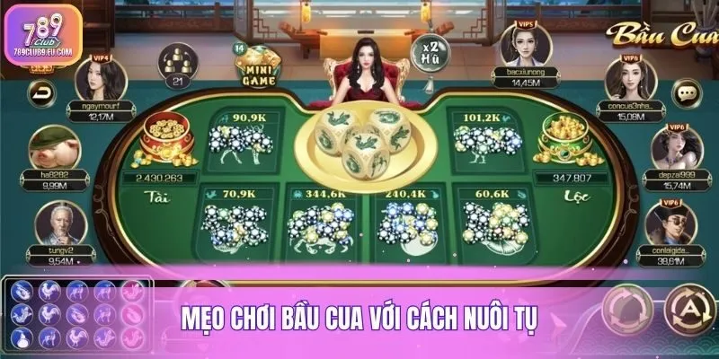 Mẹo chơi bầu cua với cách nuôi tụ